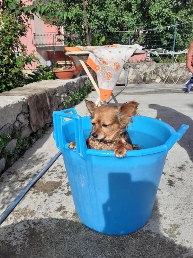 Casa Vacanza Zia Ersilia Rotondi Exterior foto